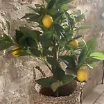 Apartment Le Rouget