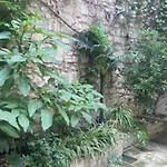 Le Rouget * Beaucaire (Gard)