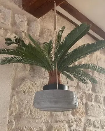 Apartman Le Rouget Beaucaire