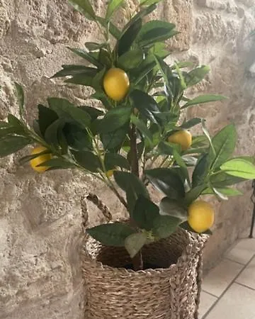 Appartement Le Rouget