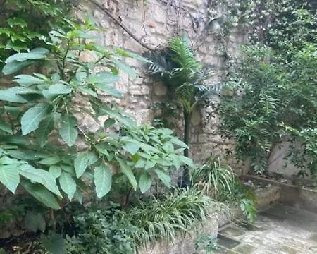 Le Rouget * Beaucaire (Gard)