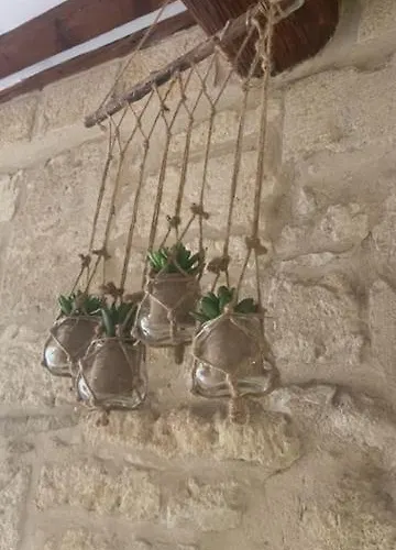 Le Rouget Beaucaire (Gard)